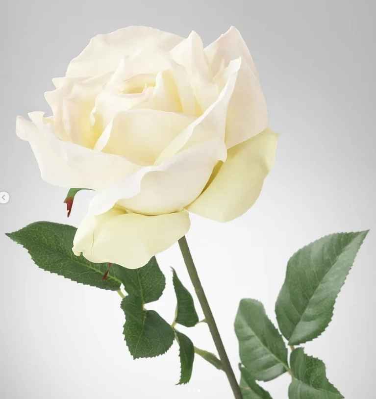 SMYCKA Artificial flower, rose/white