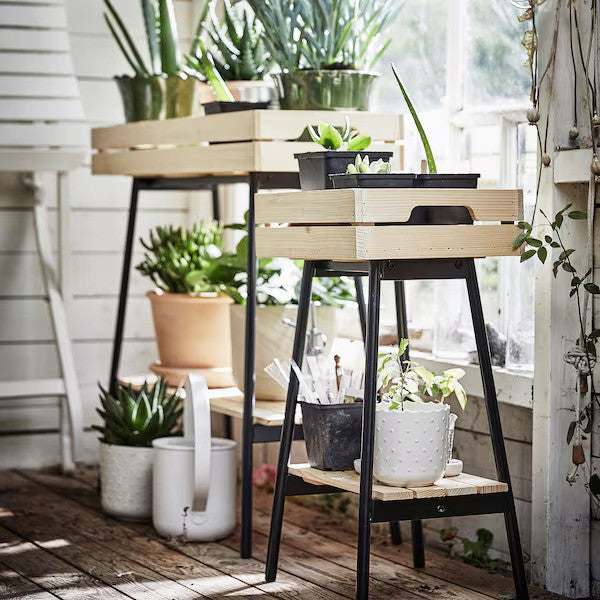 VANILJSTÅNG Plant stand, pine/black